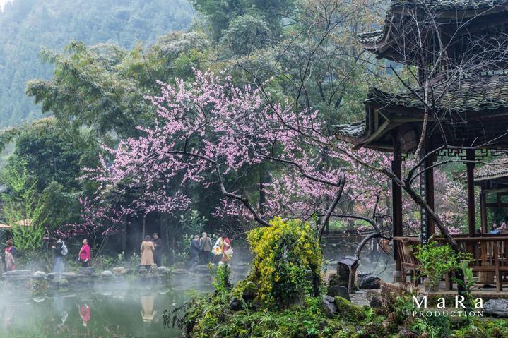 解惑问答,“美式穿搭”GAP正在骨折甩卖,为何GAP在中国市场的位置一直很尴尬?平台为您答疑解惑